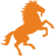 Shettygestüt Many Minis | Staatsprämienstute